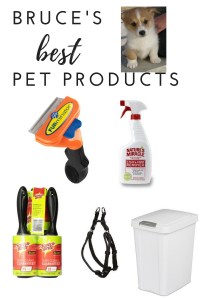 bruces-best-pet-products welsh corgi