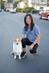 corgi bruce WISP broom