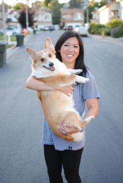 corgi bruce WISP broom