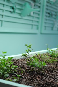 museum of ice cream LA