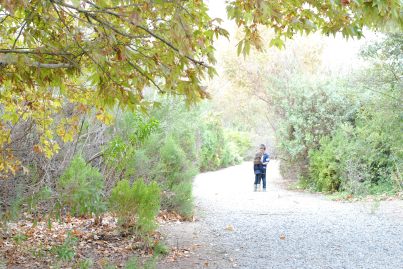 chino ca wetlands park