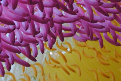 museum of ice cream LA